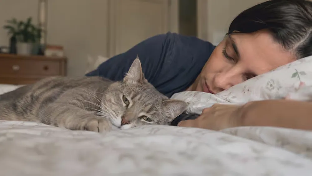 Un veterinario revela qui&eacute;n es la persona favorita de un gato