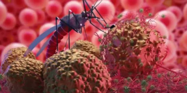 Fenómeno El Niño y el dengue