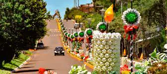 Capioví: El pueblo de la Navidad reciclada en Misiones