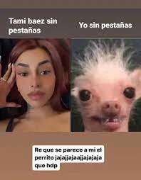 Tamara Báez mostró su cara sin pestañas postizas y se comparó con el meme de un perro | TN