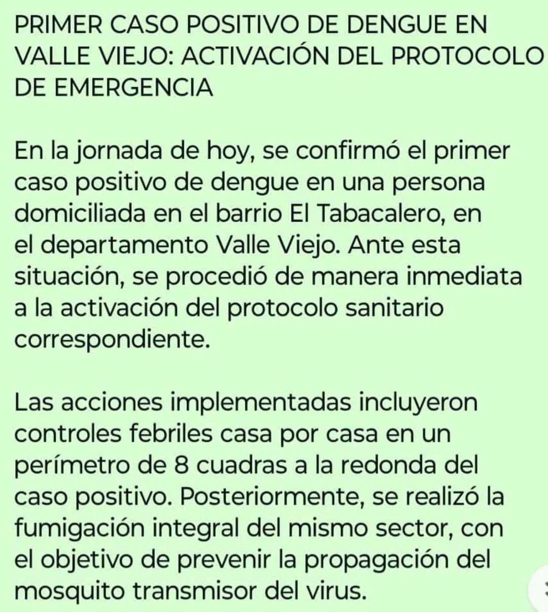 14 de Febrero: El sencillo truco para mantener las flores frescas y lindas por mucho tiempo