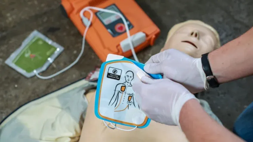 29 de abril: Día del Animal