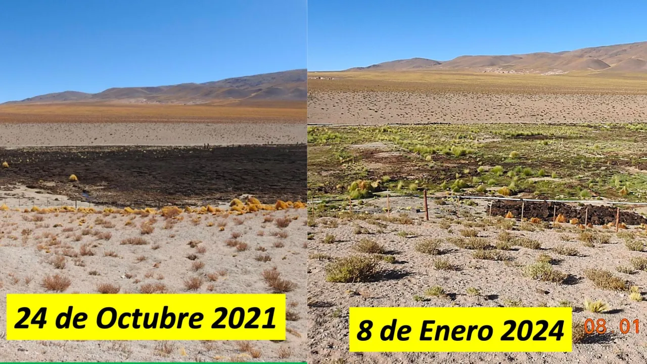 3 automasajes energéticos para empezar bien el día