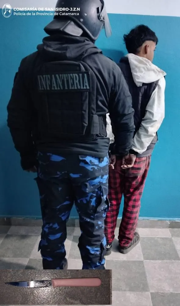 Un joven intentó acuchillar a su madre