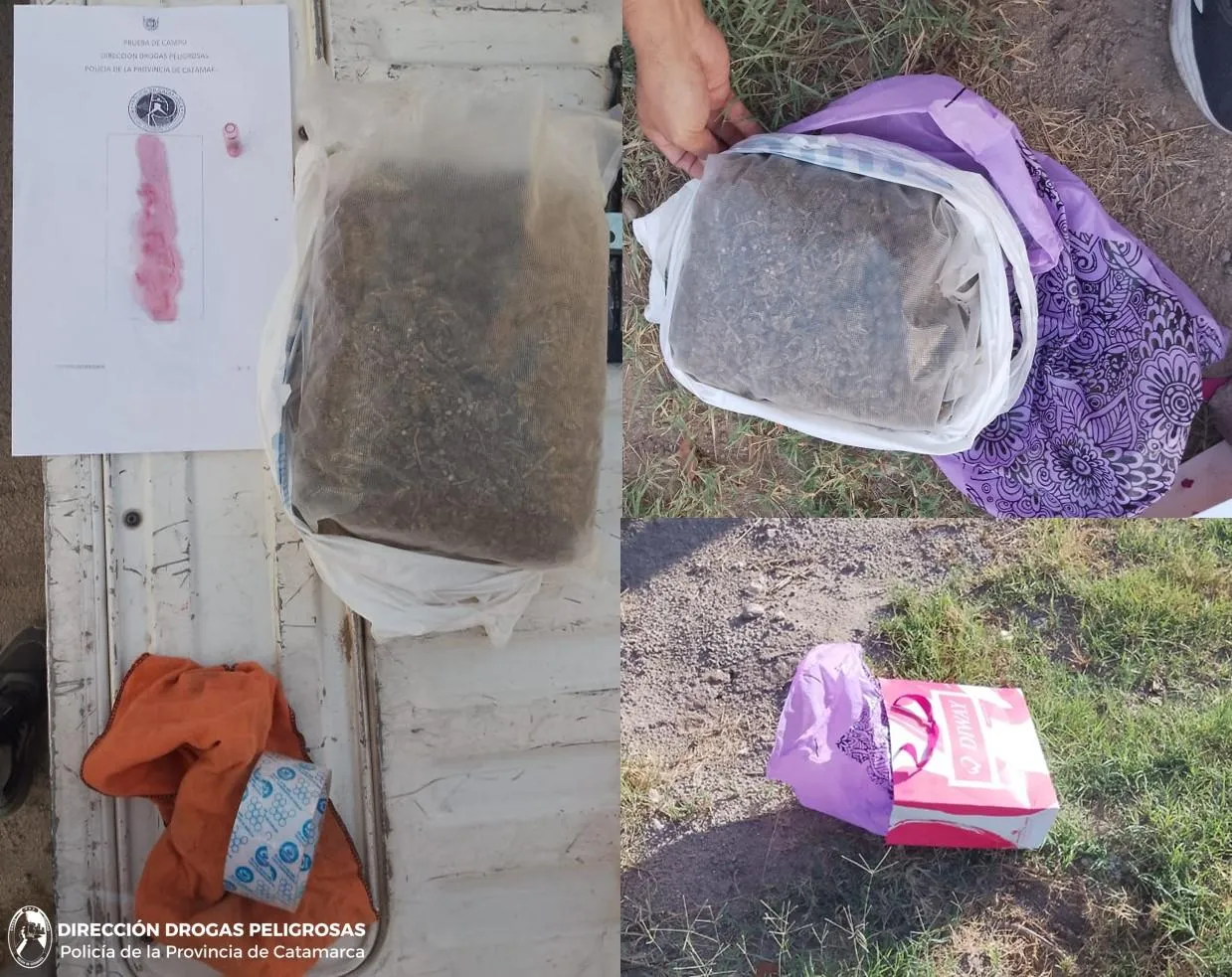 6 remedios caseros que pueden ayudar a revertir la alopecia