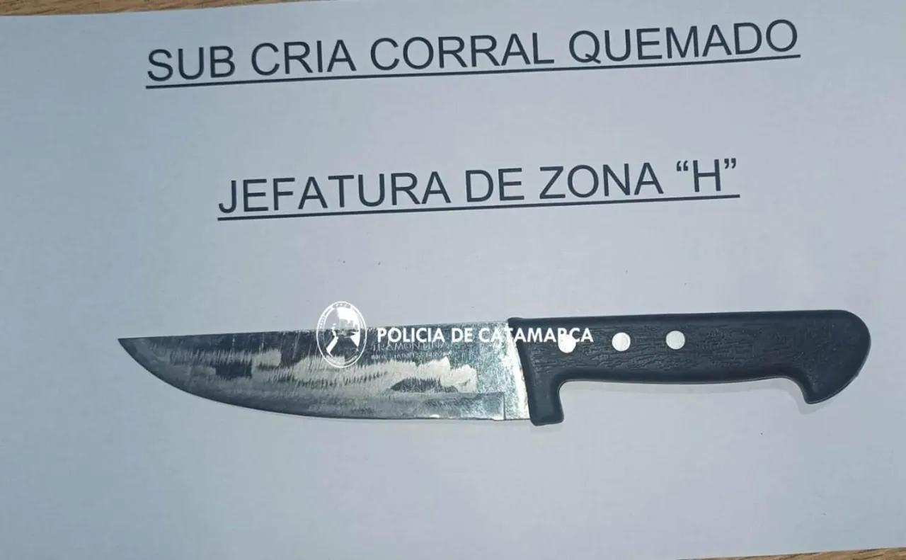 A 4 meses del asesinato de "Rojitas": Declaró por primera vez la Médica Marina Andrada