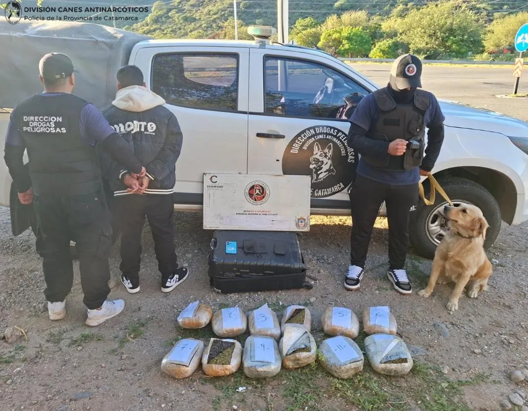 A bordo de una Hilux: chocó a un adolescente y se dio a la fuga