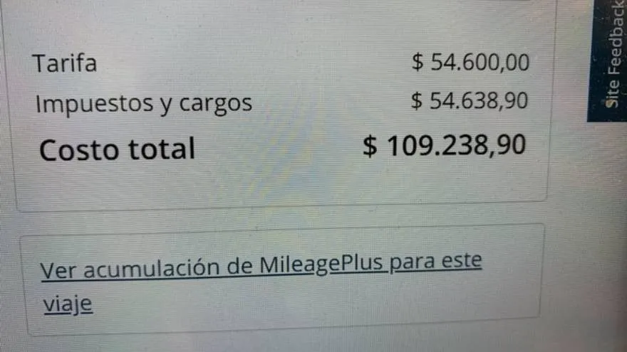 A las piñas limpias en un boliche: a él lo aprehendieron y su rival se dio a la fuga
