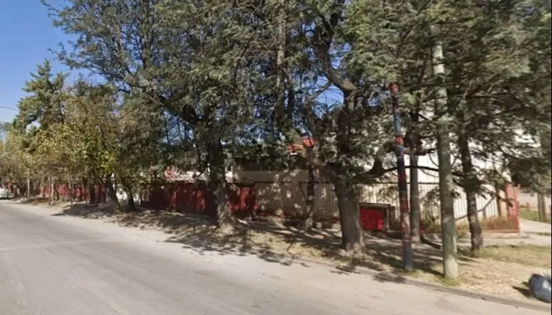 A pleno sol, Silvina Escudero posó desde la pileta