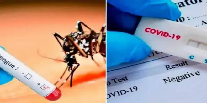 Aclaración sobre protocolos