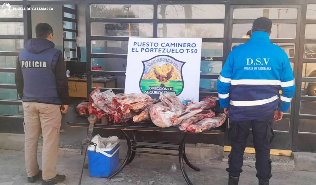 Adolescente fue arrollado por un vehículo oficial