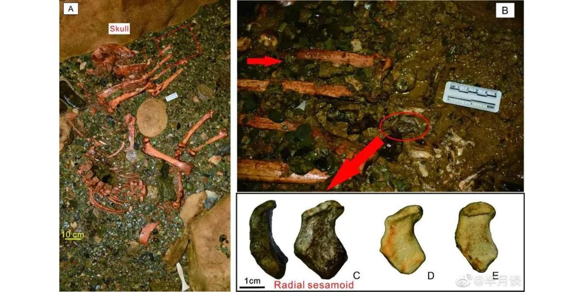 Ahora: encontraron un cuerpo sin vida en el río