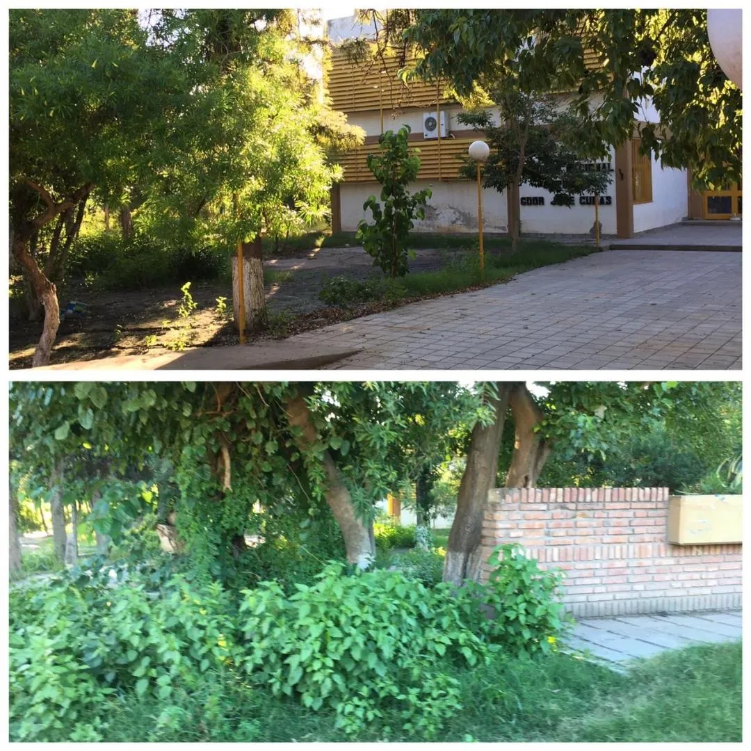 Alarmante: Se registraron casos de Coronavirus en 12 Departamentos de la Provincia
