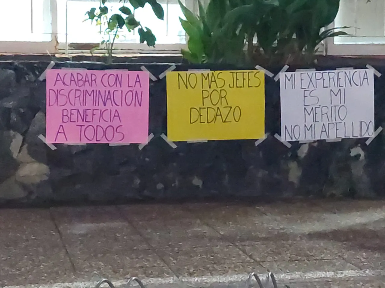 Alerta amarilla por vientos