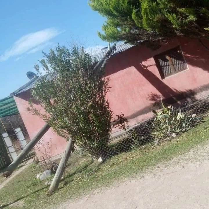 Amalia "Yuyito" González confirmó que empezó su mudanza a la Quinta de Olivos