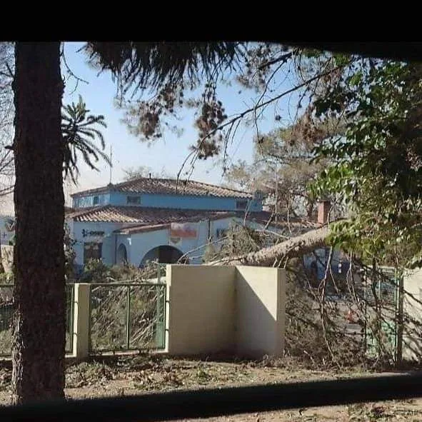 Amalia "Yuyito" González confirmó que empezó su mudanza a la Quinta de Olivos