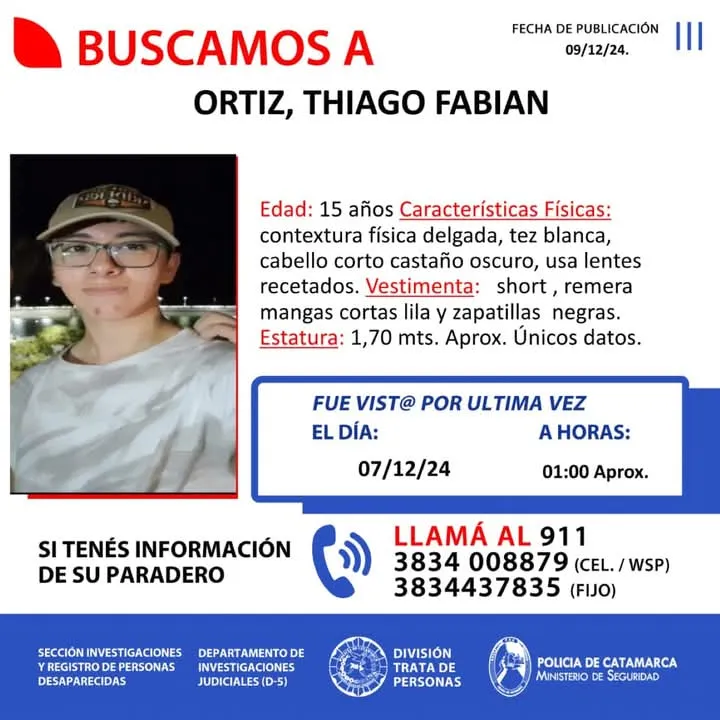 Amenazas narco, resiliencia criminal y el desafío al Estado