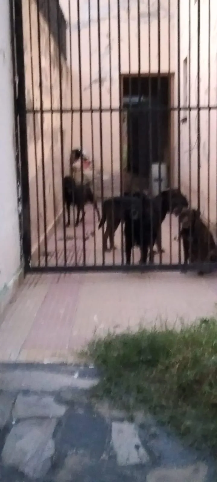 Amenazó y agredió a un hombre en un corralón
