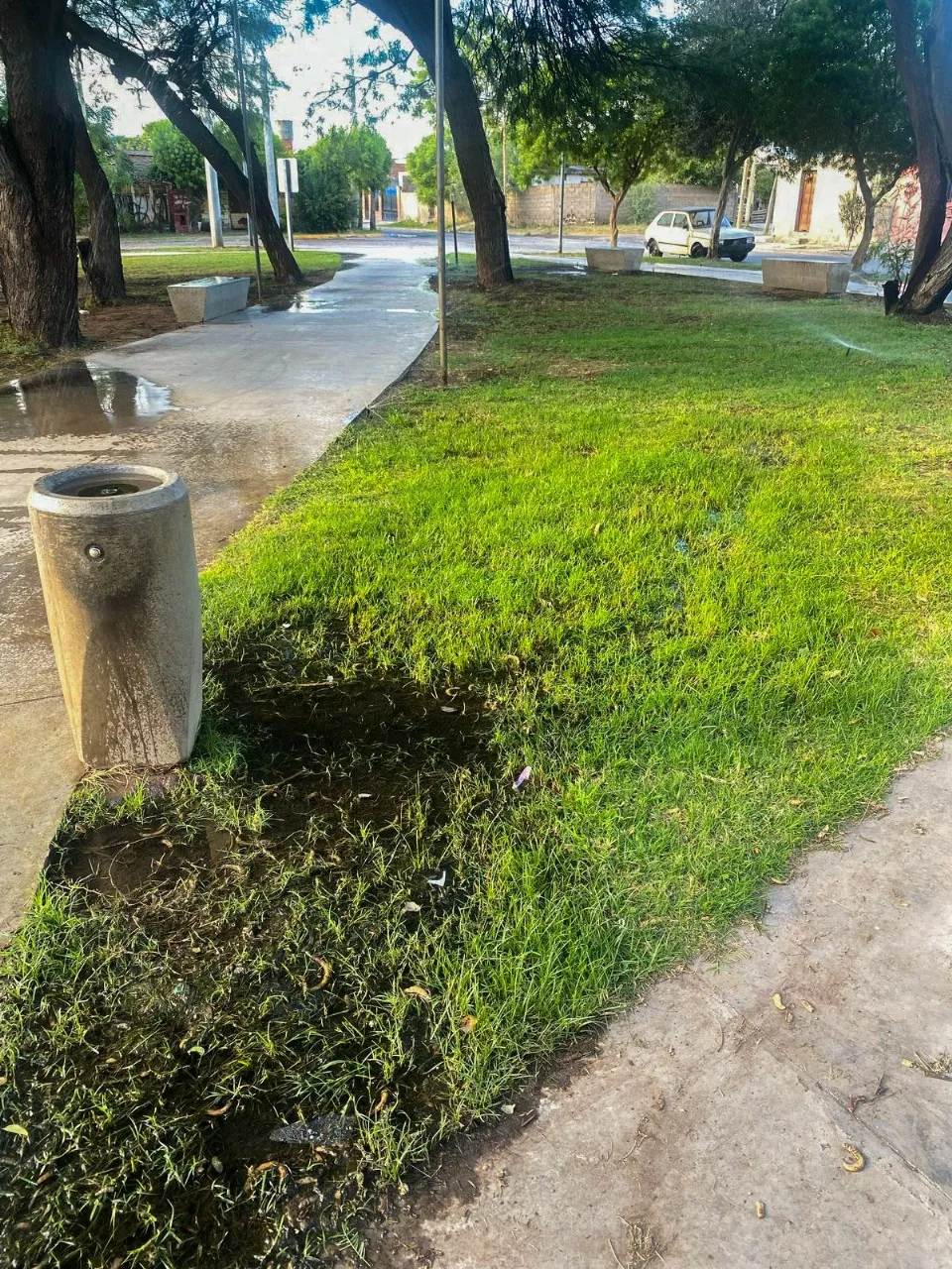 “Amor, voy a cambiar”: una trampa mortal, un incendio para borrar pruebas y la mentira que nadie creyó