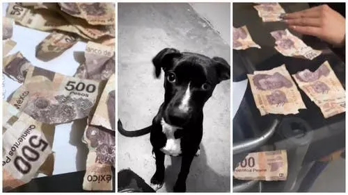 Andaba "de trampa" y cayó por una multa de tránsito