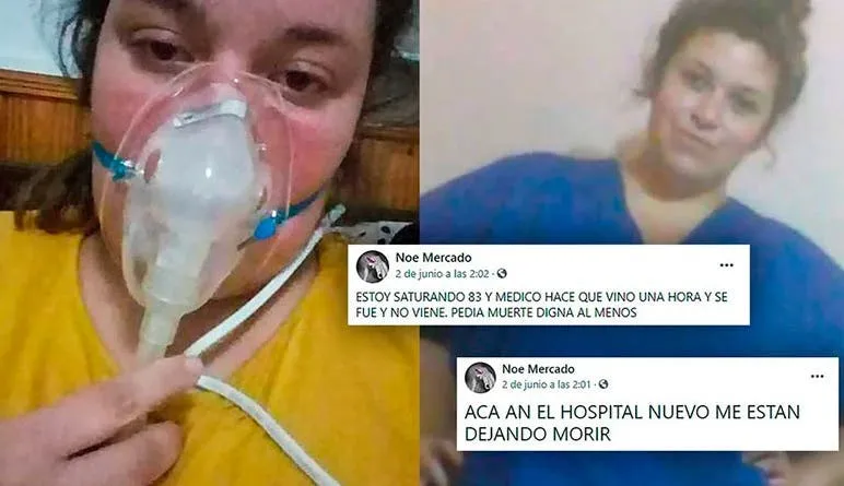 ANMAT prohibió la comercialización de un aceite de oliva y un desinfectante