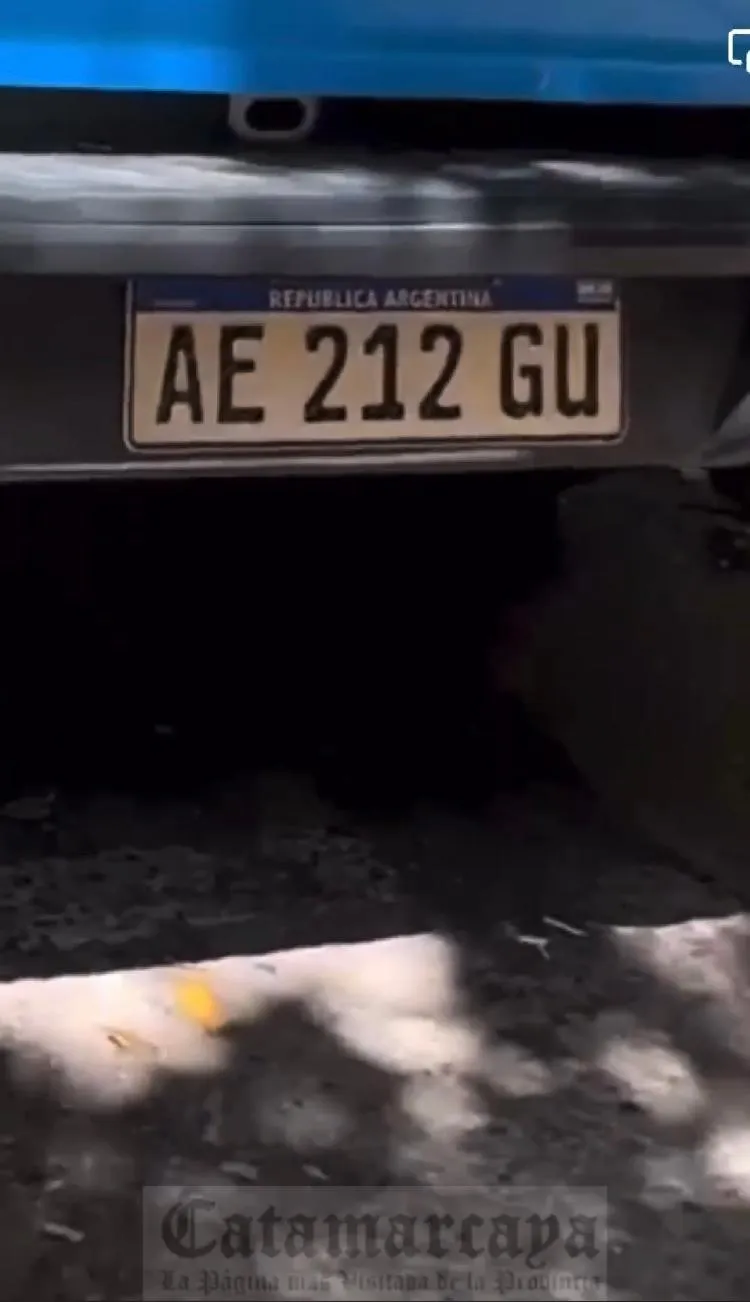 Aprehendieron a dos hombres por agredir a una Policía y a dos jóvenes