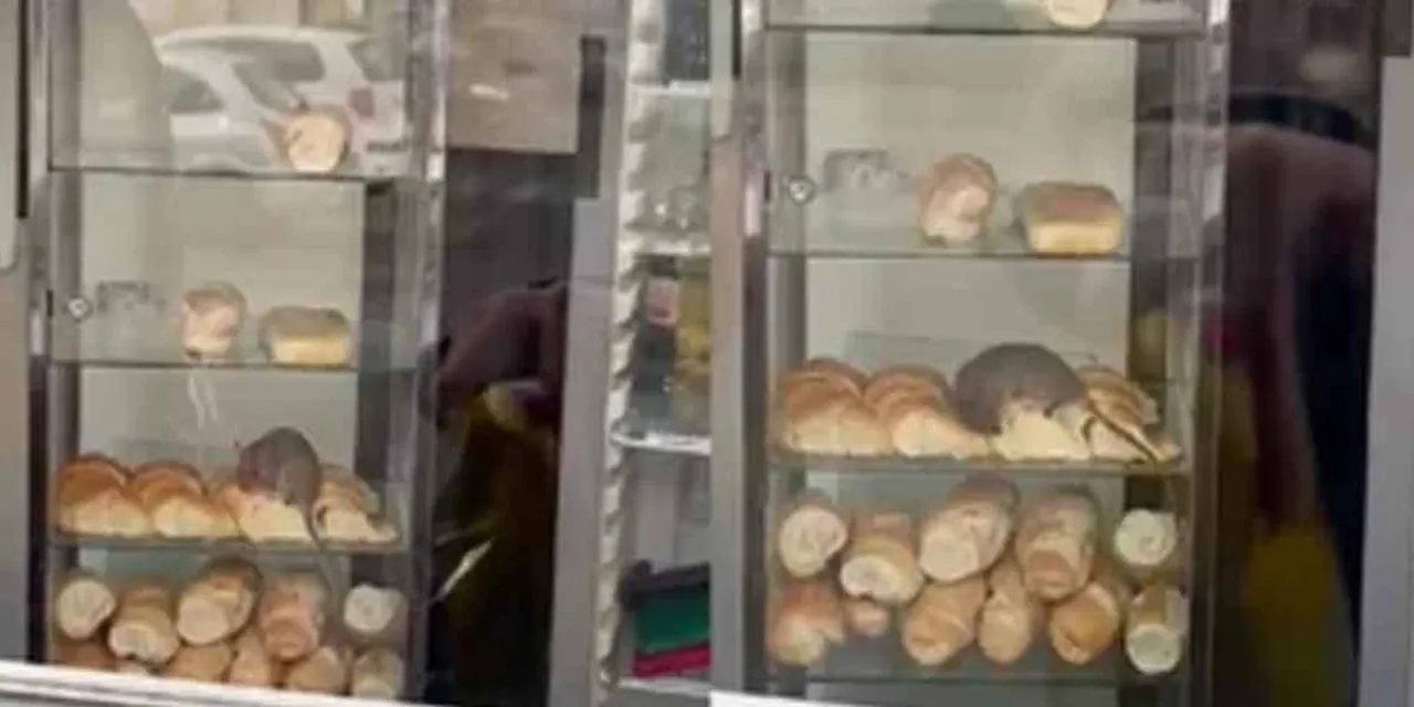 Aprende a hacer el pan de molde o lactal en casa