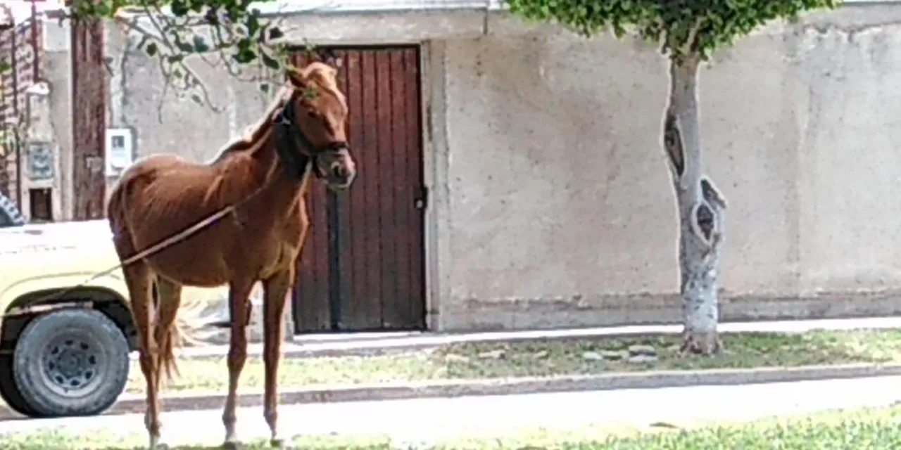 Argentina Programa: cómo inscribirse y recibir $150 mil