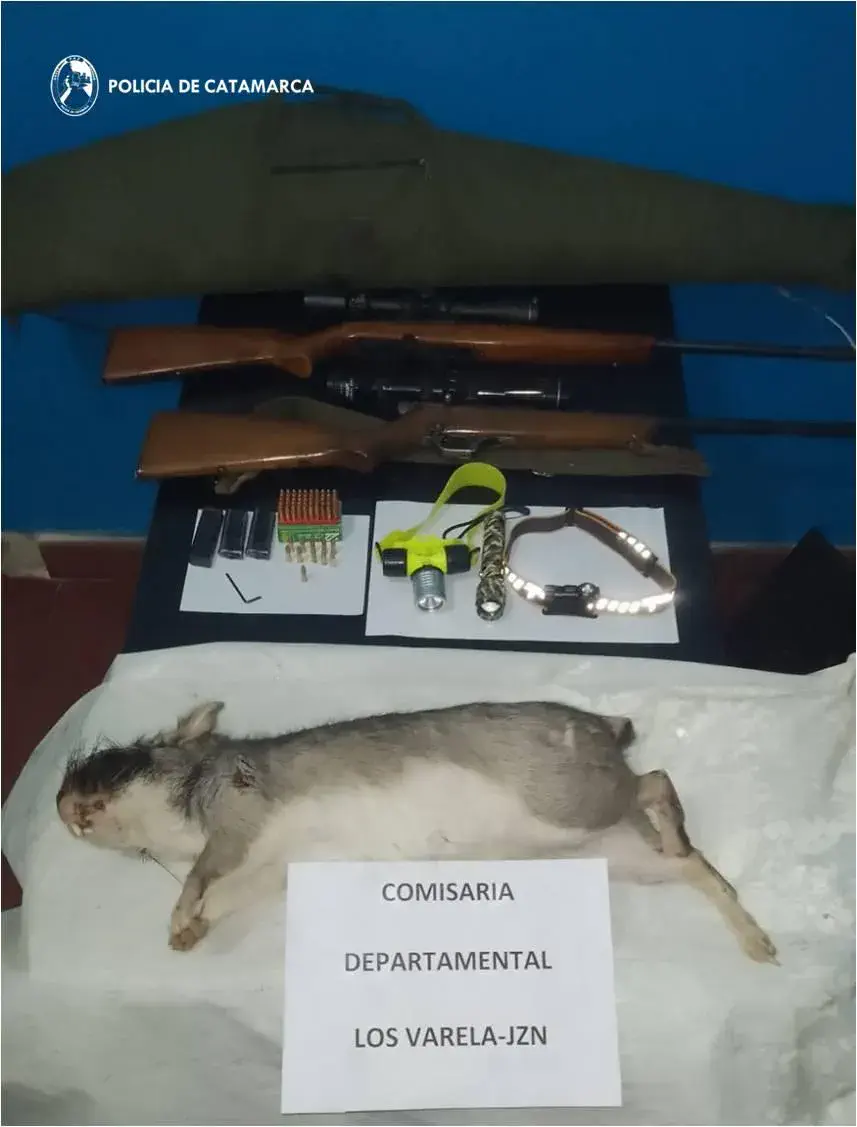 Arrestan a tres hombres, secuestran una camioneta, un ejemplar de liebre y dos carabinas de fuego