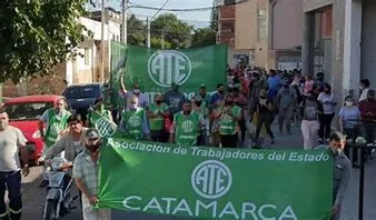 Arrollado verde para las fiestas