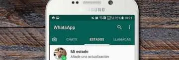 Aseguran que el sentido del olfato advierte con mayor rapidez el peligro