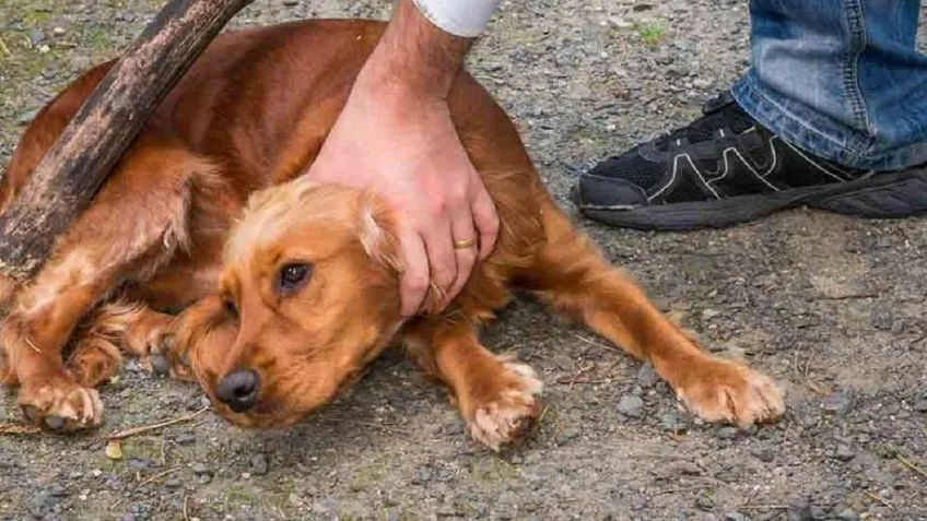Asesina de la sal: parecía una madre dulce, pero era lo contrario