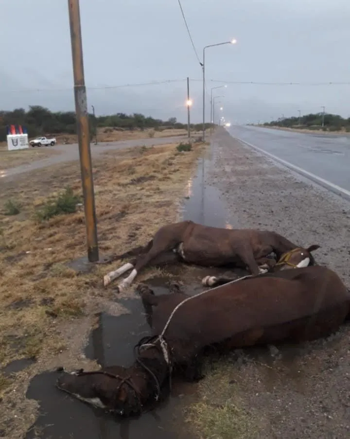 Así amanece Argentina