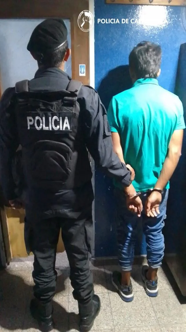 Así encontraron una lampalagua en el motor de un auto en una estación de servicio