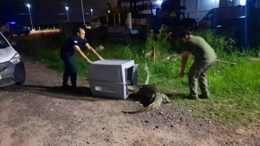 Así estará el tiempo este fin de semana