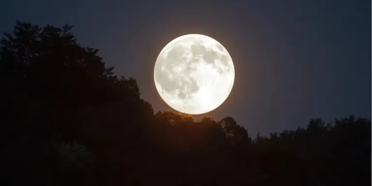 Así fueron los últimos momentos de Selva Alemán antes de morir