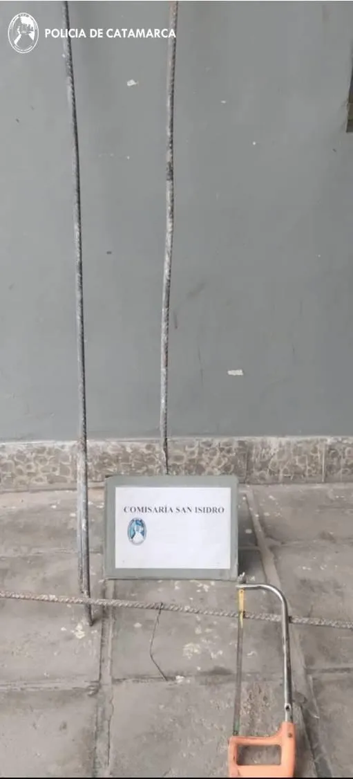 Así se debe usar el ajo para ahuyentar los mosquitos
