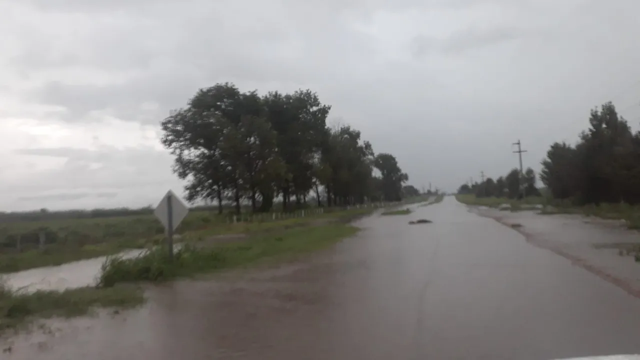 Atención: el Registro Civil realiza un operativo de documentación rápida previa actualización de precios
