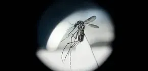 Atención: refuerzan Centros de Salud para pacientes con Dengue y patologías respiratorias