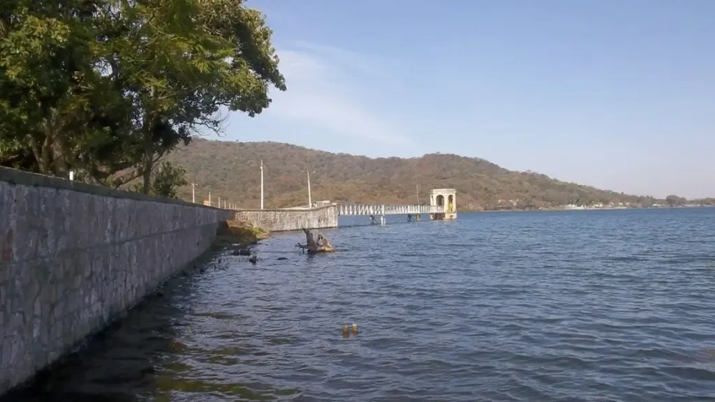 Atrapó al ladrón hasta que llegó la Policía