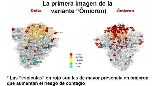 Aumentará el precio del pan en Catamarca