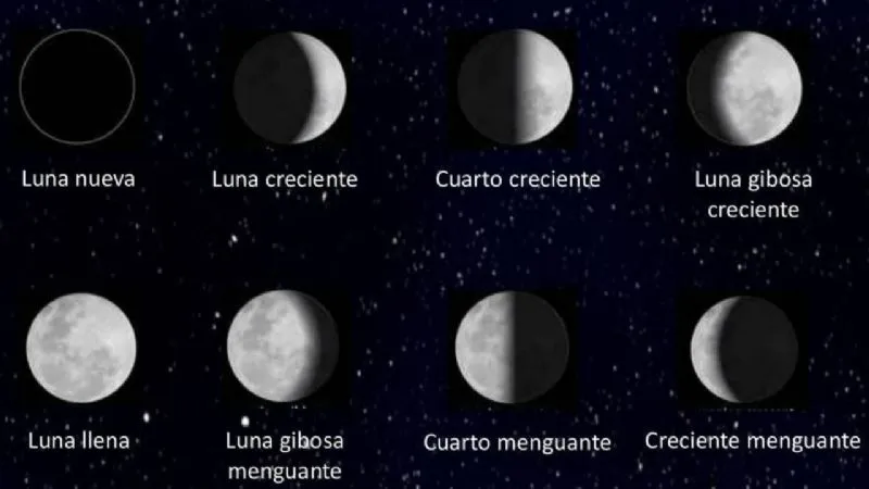 Aumentos: los nuevos montos para AUH, SUAF, AUE y jubilaciones
