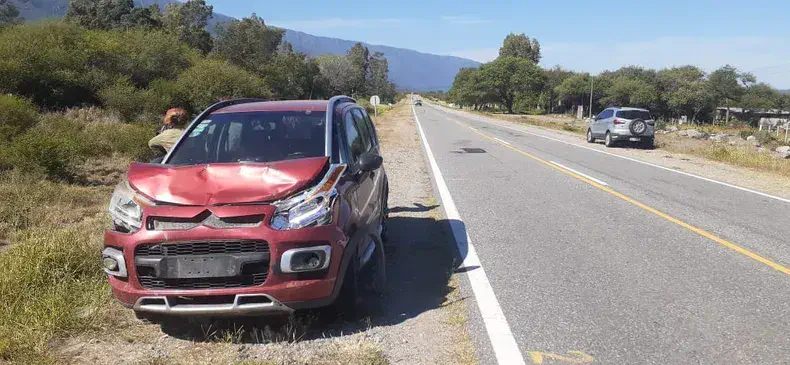 Automóvil embistió a un animal vacuno en la ruta 38