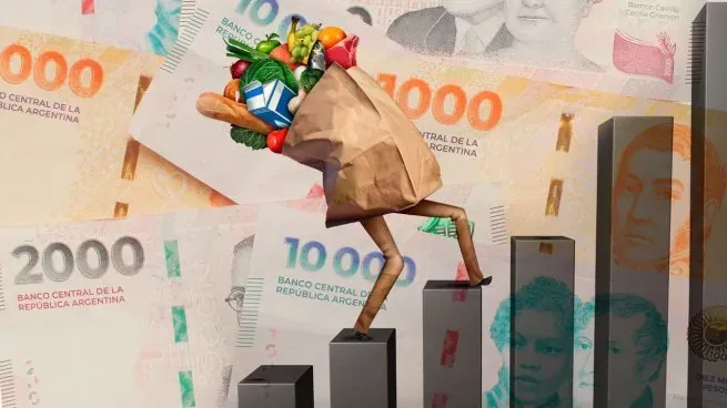 Automovilista chocó dos mulas