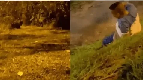 ¡Ay! Tu otra mitad... tu alma gemela... tu media naranja... ¿la has encontrado?