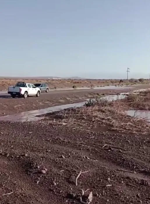 Bahía Blanca: hay 12 muertos, más de 1300 personas evacuadas y la situación es crítica