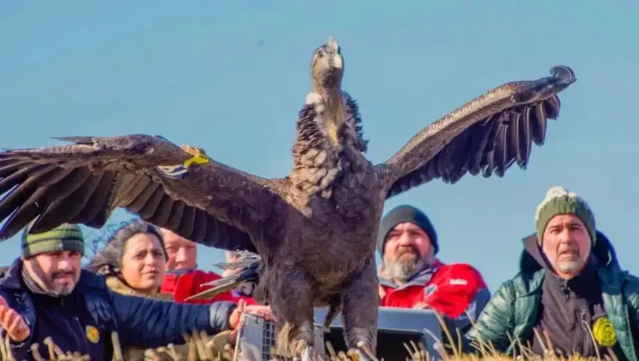 Boca recibe a Belgrano en un partido cargado de emociones