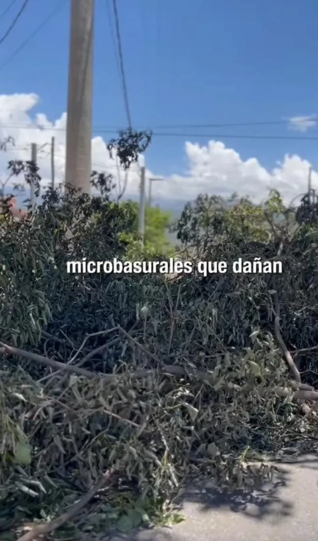 Brasil: alertan por estafas a turistas argentinos con una app virtual