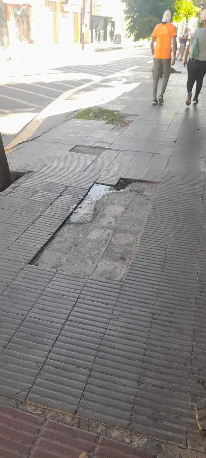 Breves policiales
