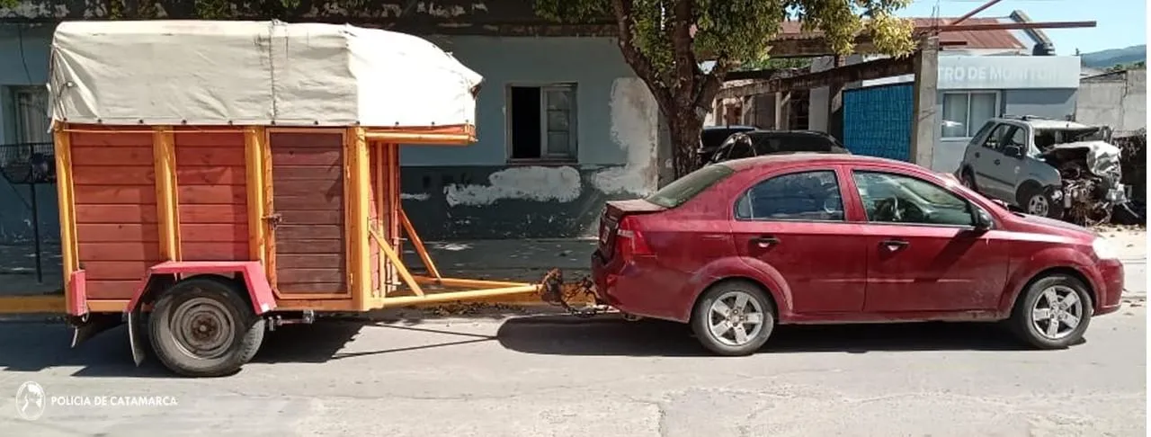 Brutal ataque con un machete de un hombre de 90 años a su esposa de 71
